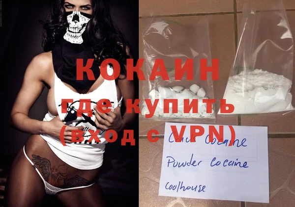 индика Россошь