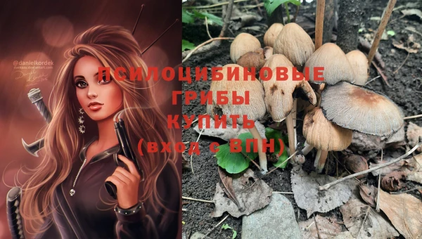 марки nbome Алексеевка